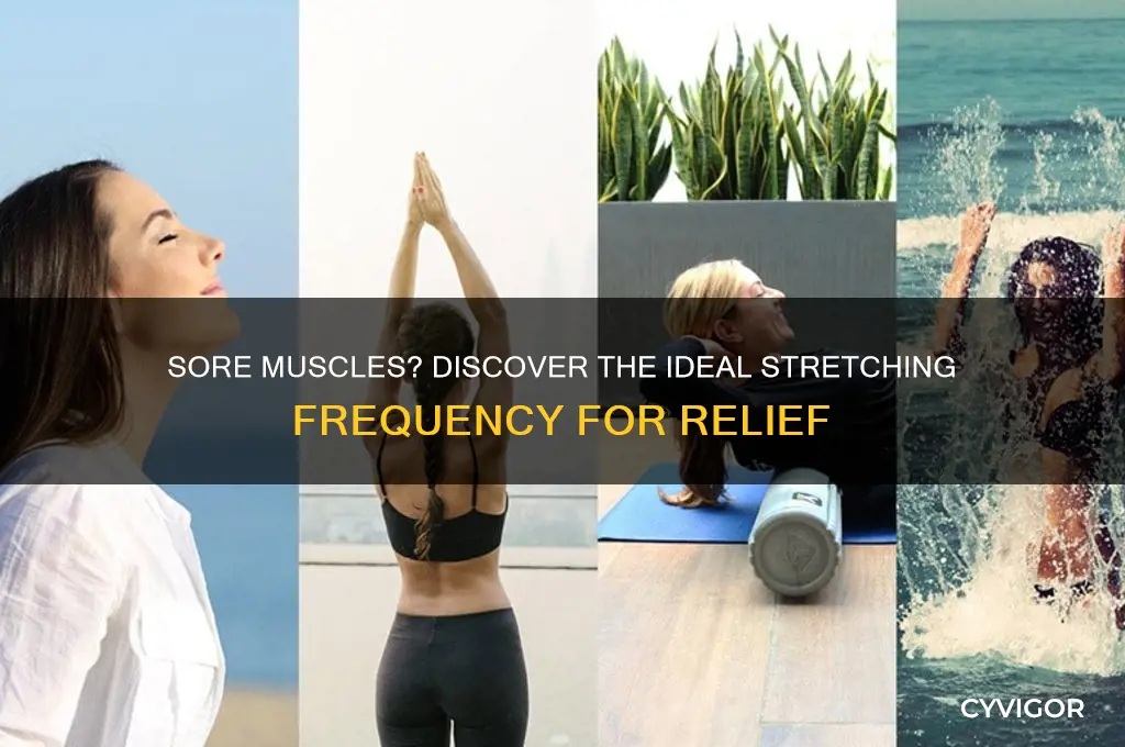 how often should i stretch if im sore muscles