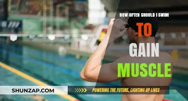 Swimming for Muscle Gain: Optimal Frequency for Strength Results