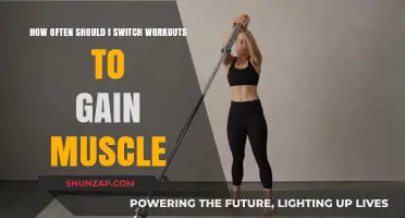 Optimal Workout Rotation for Muscle Growth: Timing and Strategies