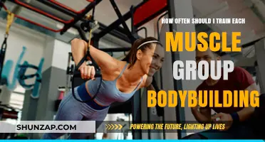Optimal Muscle Group Training Frequency for Effective Bodybuilding Results