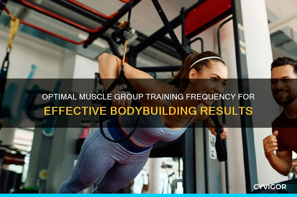Optimal Muscle Group Training Frequency For Effective Bodybuilding ...