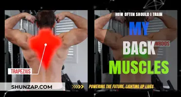 Strengthening Your Back: Optimal Training Frequency for Muscle Growth
