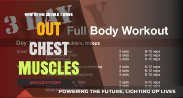 Optimal Chest Workout Frequency: Building Strength Without Overdoing It
