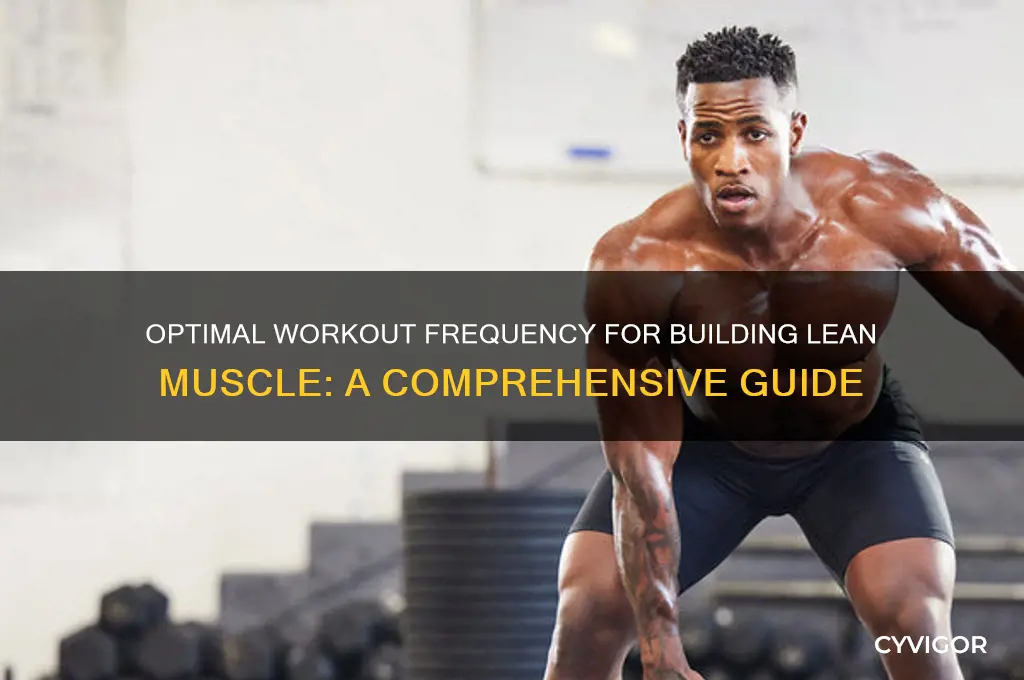 how often should i work out to get lean muscle