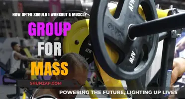 Optimal Muscle Group Workout Frequency for Maximum Mass Gains