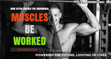 Optimal Ab Workout Frequency: How Often to Train Your Core