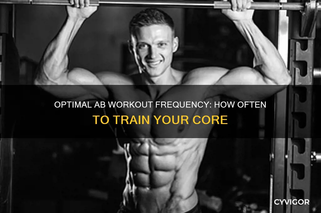 how often should the abdominal muscles be worked