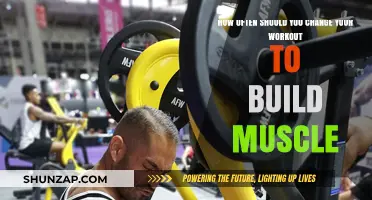 Revamping Your Routine: Optimal Workout Frequency for Muscle Growth