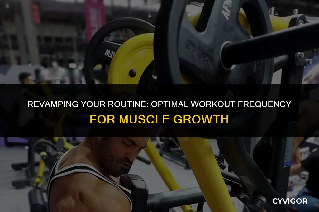 how often should you change your workout to build muscle