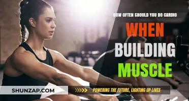 Cardio Frequency for Muscle Building: Finding the Right Balance