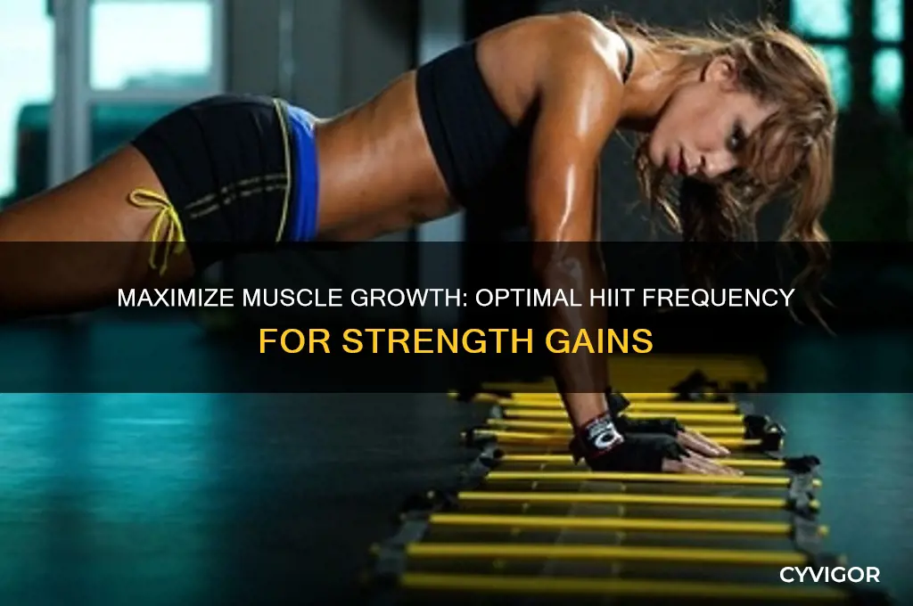 how often should you do hiit to gain muscle