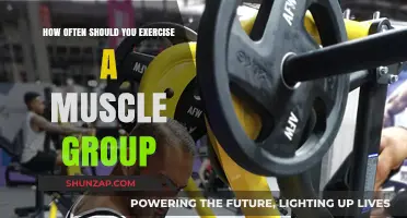 Optimal Muscle Group Workout Frequency for Strength and Recovery