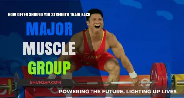 Optimal Strength Training Frequency for Major Muscle Groups Revealed