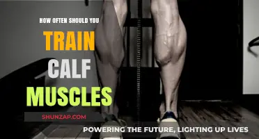 Optimal Calf Training Frequency: A Comprehensive Guide