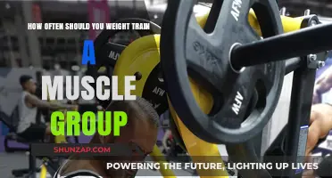 Optimal Muscle Growth: How Often Should You Train Each Group?