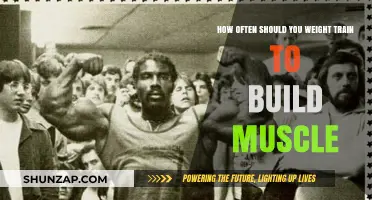 Optimal Frequency for Muscle Building: A Comprehensive Guide