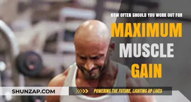 Optimal Workout Frequency for Maximum Muscle Gain: Expert Tips