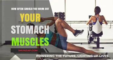 Optimal Stomach Workout Frequency: How Often to Train Your Core
