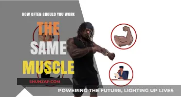 Optimal Muscle Recovery: How Often to Train the Same Muscle Group