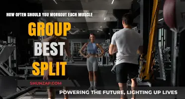 Optimal Muscle Group Workout Frequency: Best Split Strategies for Results