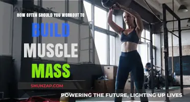 Optimal Workout Frequency for Muscle Mass: A Comprehensive Guide