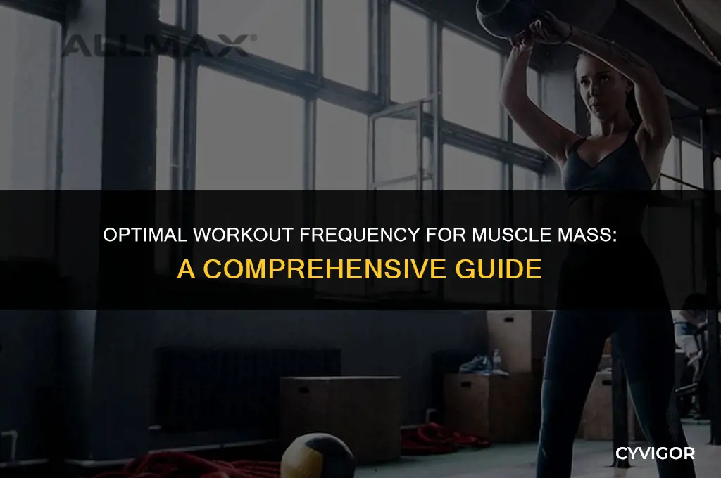 how often should you workout to build muscle mass