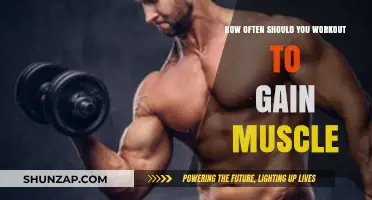 Optimal Workout Frequency for Muscle Gain: A Comprehensive Guide