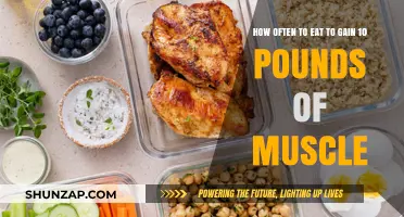 Optimal Eating Frequency for Gaining 10 Pounds of Muscle Mass