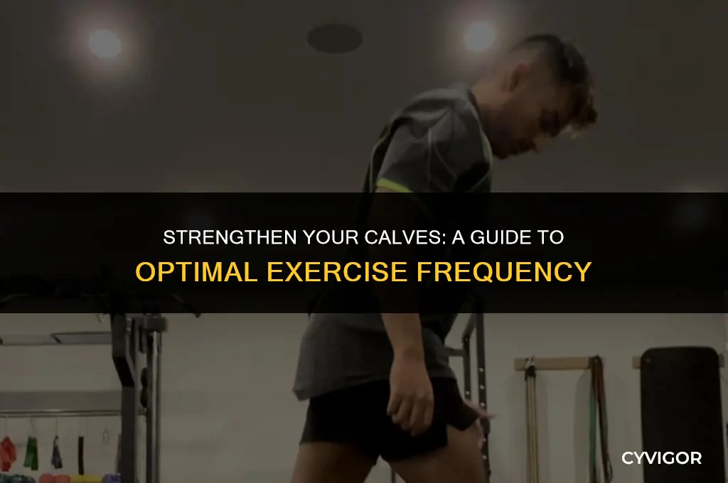 how often to exercise calf muscles