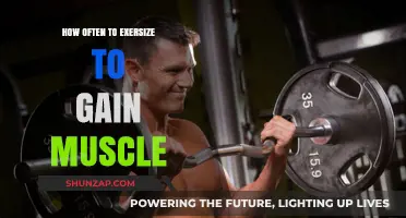 Optimal Workout Frequency for Muscle Growth: A Comprehensive Guide