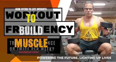 Sculpting Strength: The Optimal Frequency for Muscle-Building Workouts