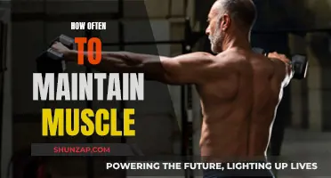 Maintaining Muscle: How Often Should You Be Working Out?