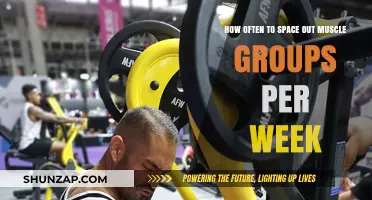 Optimal Muscle Group Training Frequency: Weekly Workout Spacing Guide