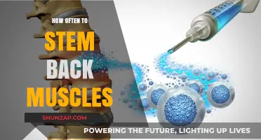 Revitalize Your Back: The Optimal Frequency for Stem Cell Therapy