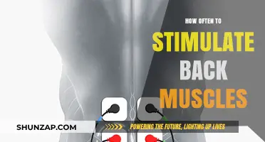 Revitalize Your Back: The Optimal Frequency for Muscle Stimulation