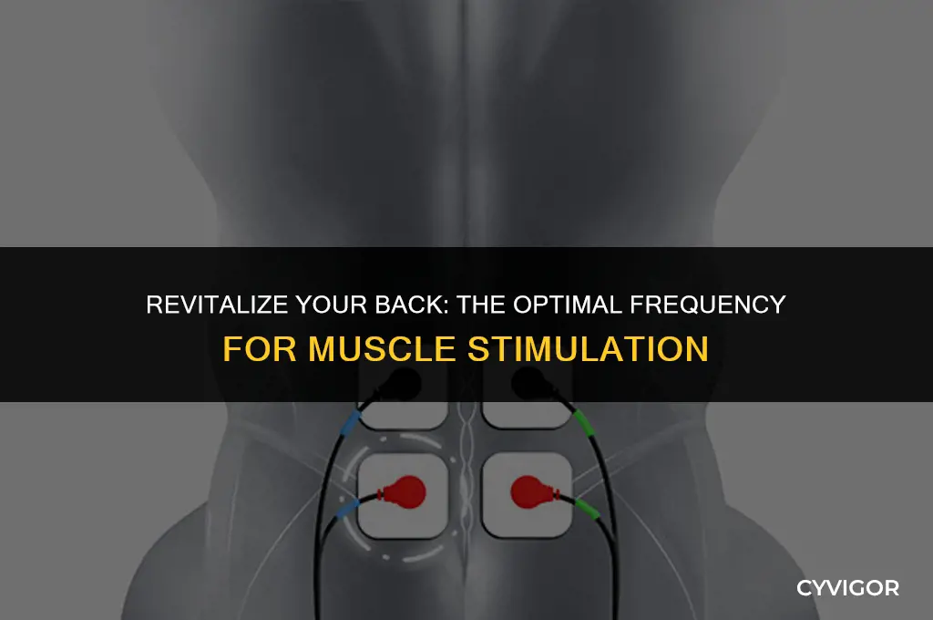 how often to stimulate back muscles