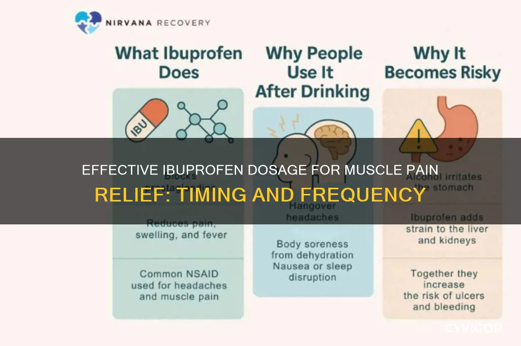 how often to take ibuprofen for muscle pain