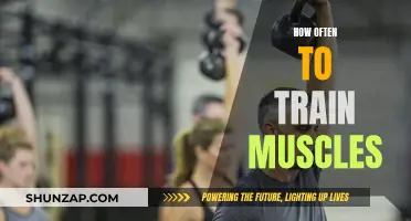 Training Muscle Groups: How Often Should You Work Out?