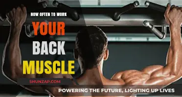 Optimal Back Workout Frequency: Building Strength and Preventing Injury