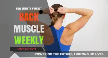 Building a Strong Back: Optimal Weekly Workout Frequency