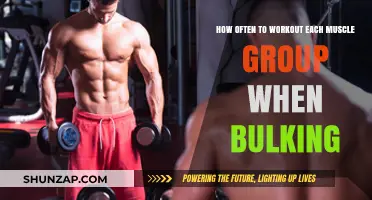 Optimal Muscle Group Workout Frequency for Effective Bulking Results