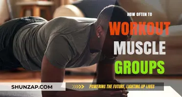 Optimal Muscle Group Workout Frequency for Strength and Recovery
