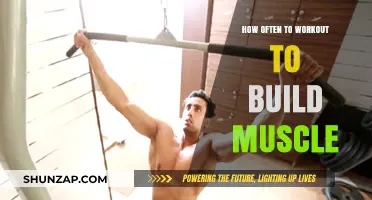 Optimal Workout Frequency for Muscle Building: A Comprehensive Guide