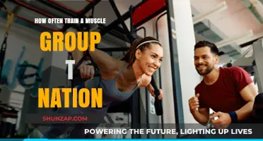 Optimal Muscle Group Training Frequency: T Nation's Expert Guide