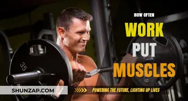 How Often Should You Work Out Muscles for Optimal Growth?
