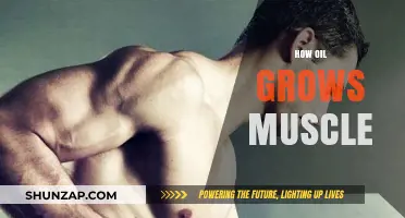 Unlocking Muscle Growth: The Surprising Role of Oil in Fitness