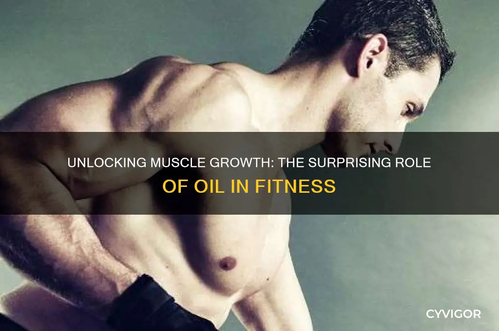 how oil grows muscle
