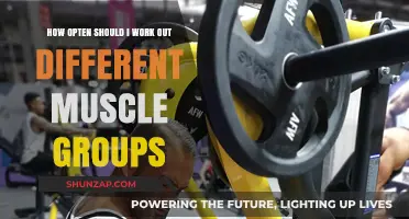 Optimal Muscle Group Workout Frequency: A Comprehensive Training Guide