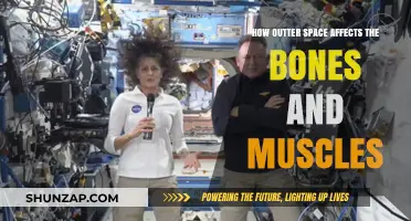 Cosmic Impact: How Space Travel Affects Human Bones and Muscles