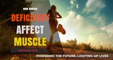 Unveiling the Impact: How Oxygen Deficiency Affects Muscle Health